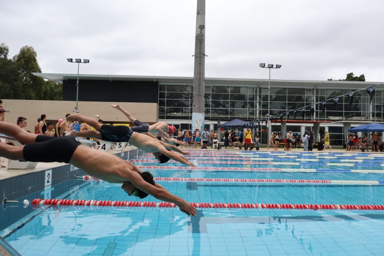Students diving into pool