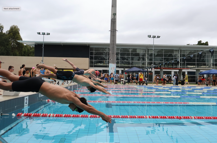 Students diving into pool